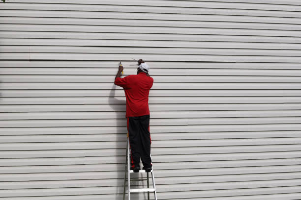 Best Aluminum Siding Installation  in Lamesa, TX